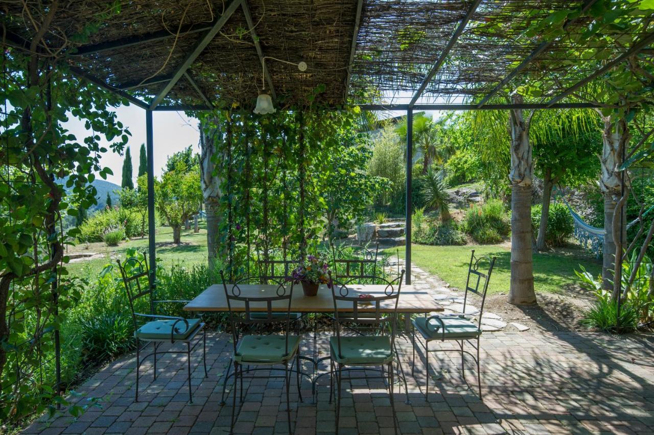House With Garden And Sea View Villa La Londe-les-Maures Dış mekan fotoğraf
