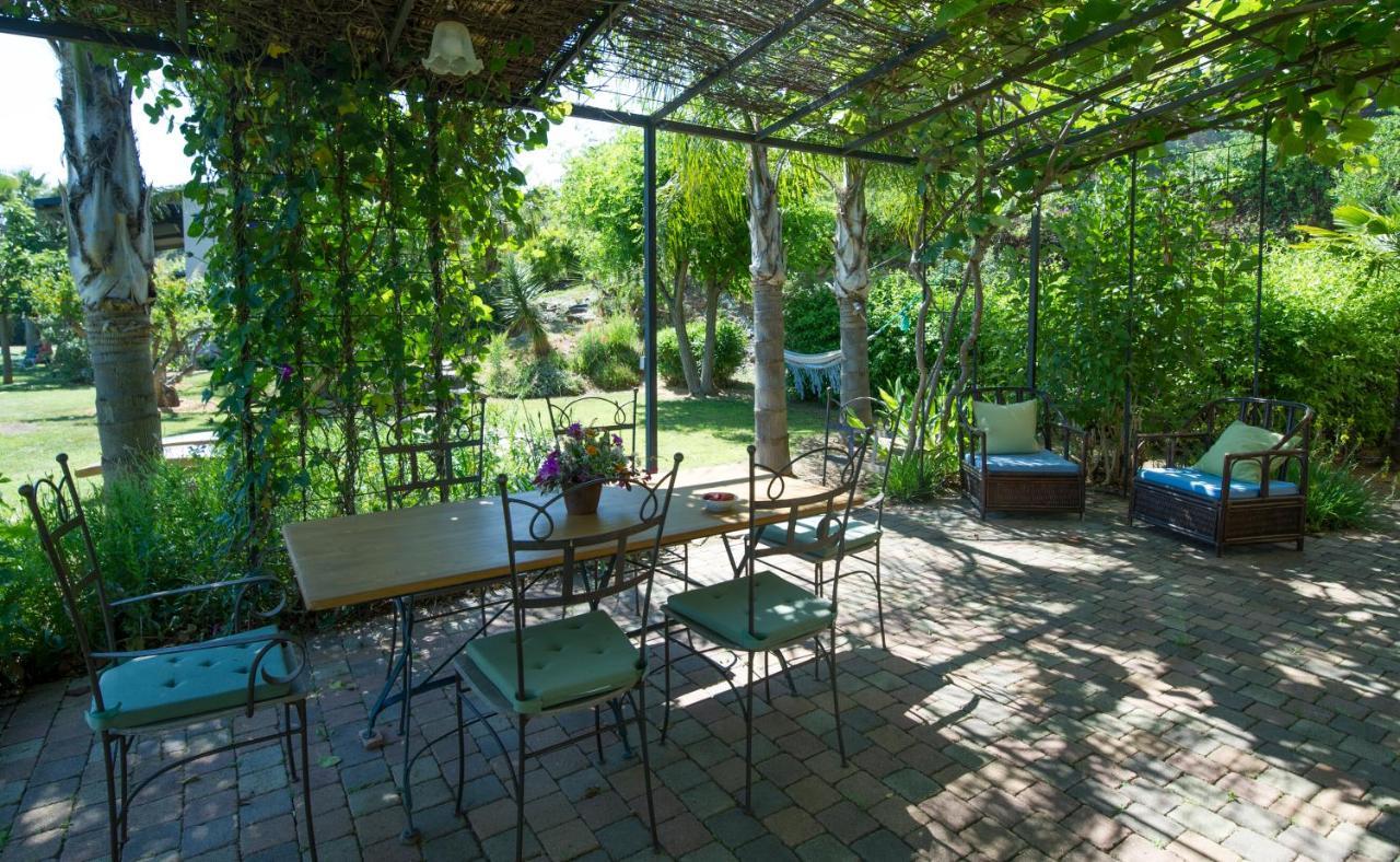 House With Garden And Sea View Villa La Londe-les-Maures Dış mekan fotoğraf