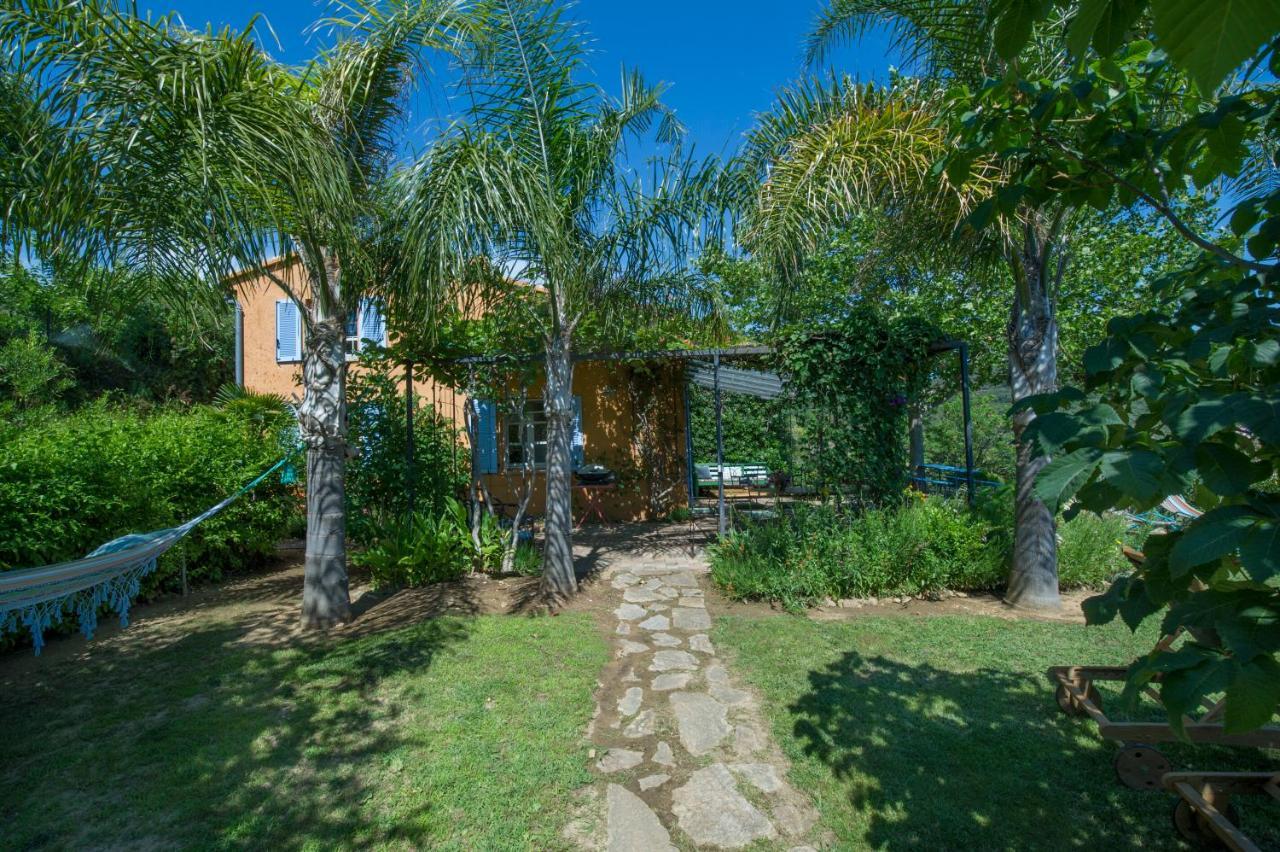 House With Garden And Sea View Villa La Londe-les-Maures Dış mekan fotoğraf