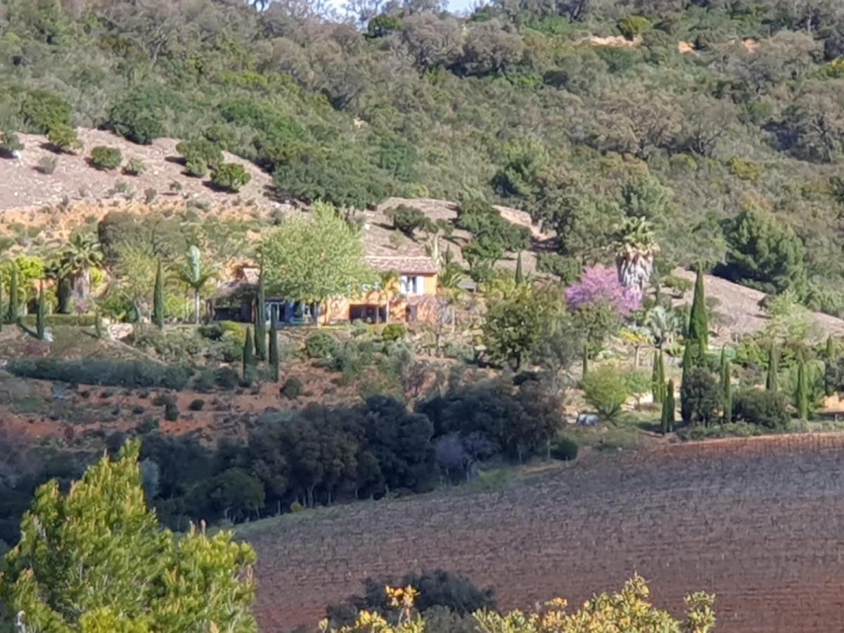 House With Garden And Sea View Villa La Londe-les-Maures Dış mekan fotoğraf