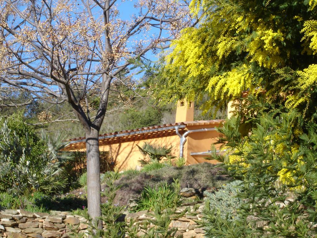 House With Garden And Sea View Villa La Londe-les-Maures Oda fotoğraf